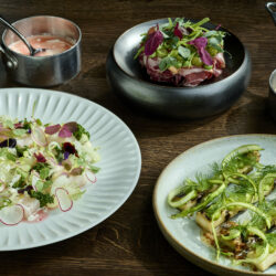 Social dining Mib sommer 236605done kopier