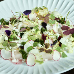 Social dining Mib sommer 236612done kopier